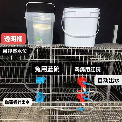 家禽鸡鸭养殖喂鸡全自动饮水器喂鸡水碗喝水养鸡喝水器喂鸭鹅水槽