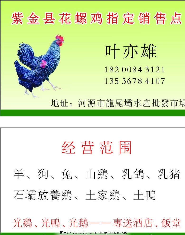 鸡子名片,个人名片 公司名片 名片模板 名片素材 广告-