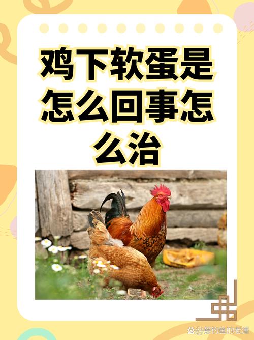 这是一种常见的家禽健康问题,需要及时采取措施进行干预